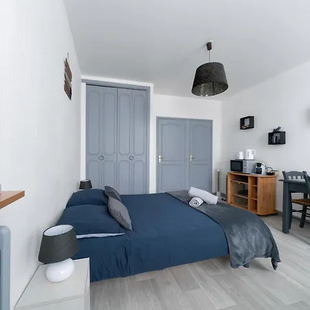 Apartment Design Studio In The City Center Vichy