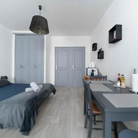 Design Studio In The City Center Apartment Vichy